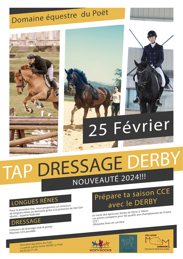 concours derby dressage longues rênes février 2024