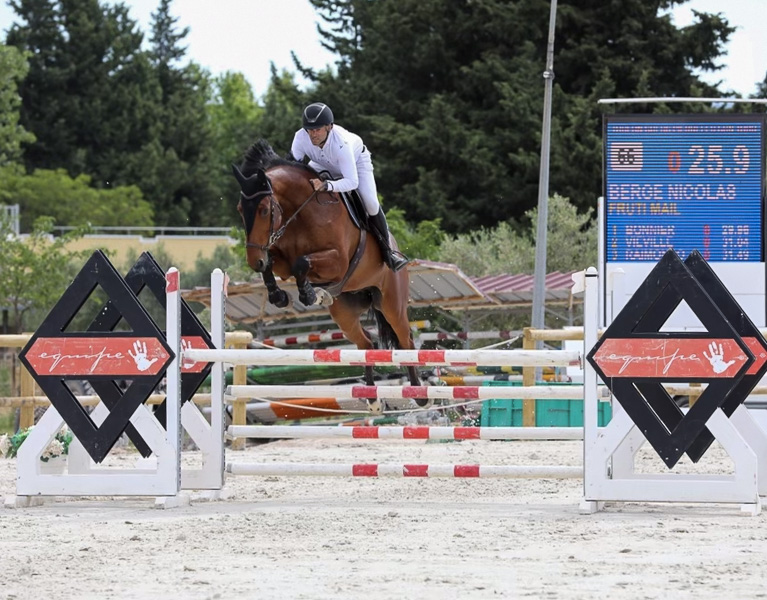 coach cso club poney amateur région paca