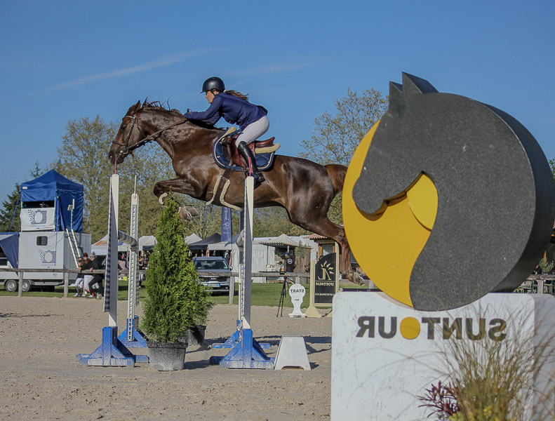 coach cso club poney amateur région paca